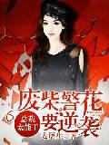总裁太能干：废柴警花要逆袭